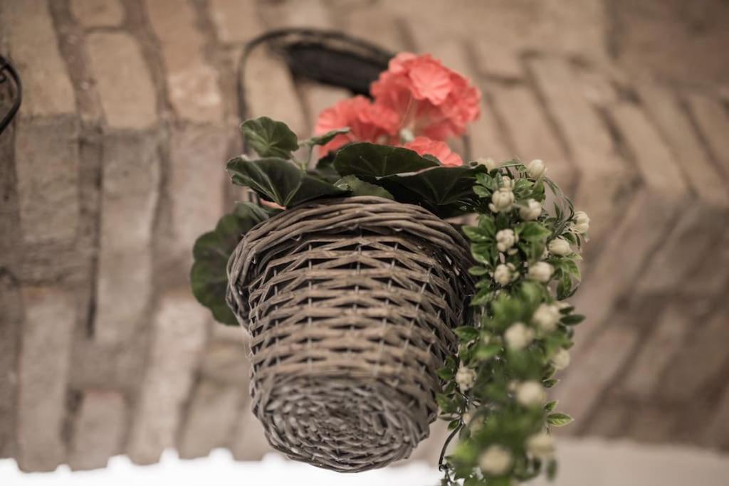 Shabby Apartment @Trastevere Rome Exterior photo